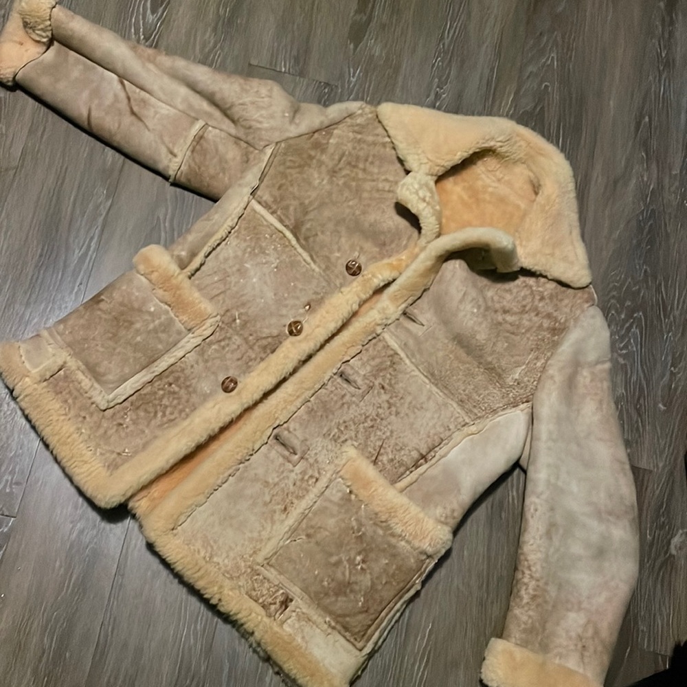 Sheep skin